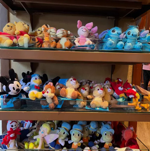 Styles hongkong disney - styles,