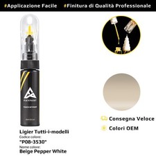 Vernice di ritocco per Ligier