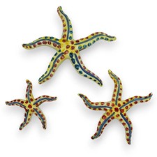 Stella Marina decorata in