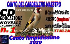 IL CANTO DEL CARDELLINO