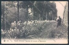 Firenze Fiesole cartolina ZG1061