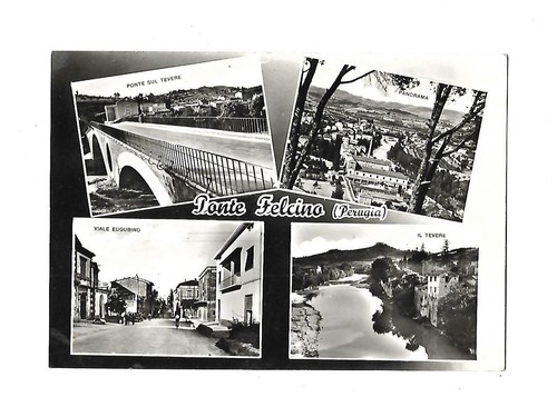 Ponte felcino - ponte,