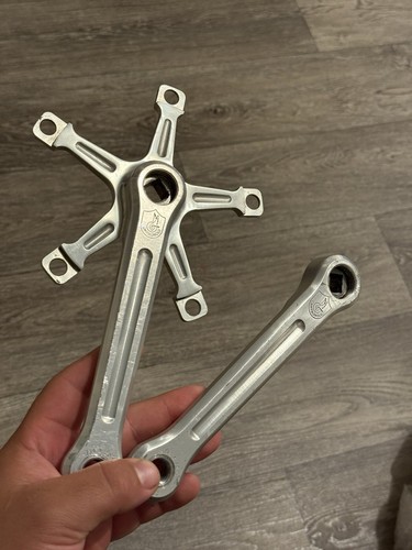 Guarnitura pista campagnolo - guarnitura,