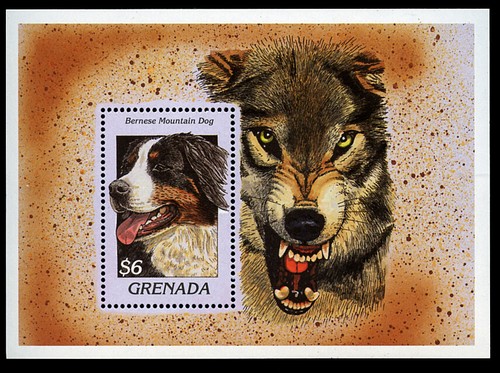 Bernese mountain dog postage - mountain,