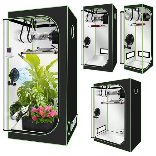 Growbox set completo serra
