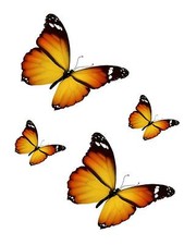 4x sticker adesivi adesivo pc