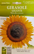 SEMI DI GIRASOLE GIGANTI IN BUSTA SIGILLATA