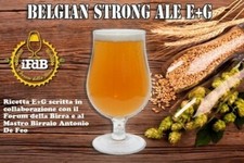 KIT RICETTA BIRRA ARTIGIANALE FATTA IN CASA E+G BELGIAN STRONG ALE (20 LT.)