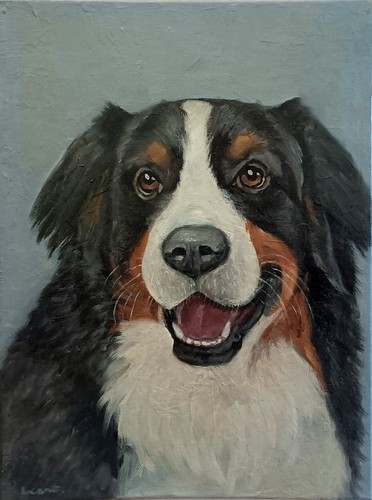 Quadro olio tela 30x40 - a,