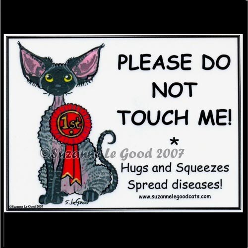 Devon rex cat - devon, art