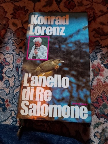 Anello salomone - re,