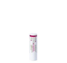 Bioearth The Beauty Seed 2.0 Balsamo Stick Labbra 5,5 ml