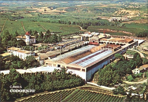 Codorniu vista totale