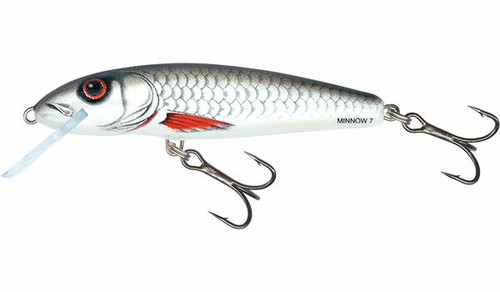 Salmo minnow esche tutte - tutte, le