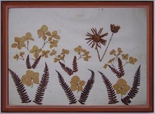 pannello collage tecnica mista natura morta con fiori montagna naturali secchi