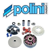 Variatore Polini 9 rulli per Piaggio Zip NRG NTT Typhoon Gilera Runner DNA 50 2T