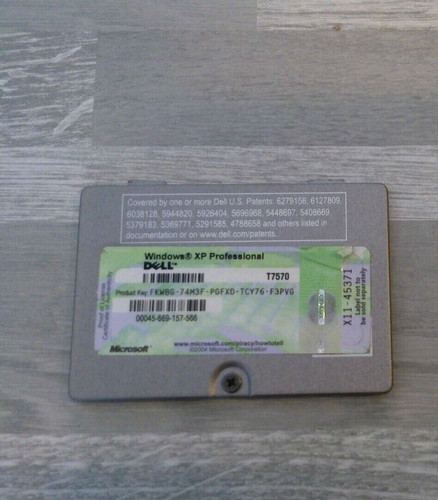 Plastiche dell latitude - plastiche,