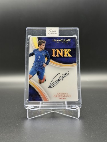 2017 panini immacolata - panini,