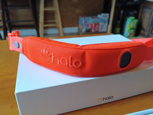 Halo collar gps - halo,