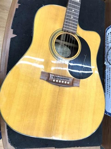 Chitarra elettrica acustica