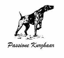 ADESIVO BRACCO TEDESCO