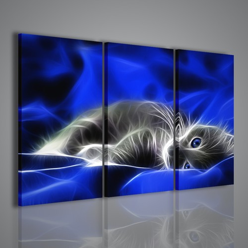 Quadri moderni cat quadro - quadri,