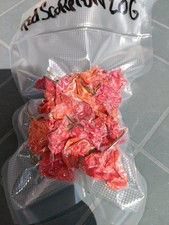 Peperoncino Piccante rosso 20