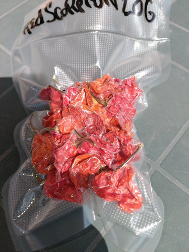 Peperoncino piccante rosso - peperoncino,