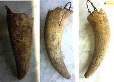 ANTICO PORTA COTE IN CORNO DI BUE CON GANCIO METALLICO (FIL DI FERRO) –RIF. 1