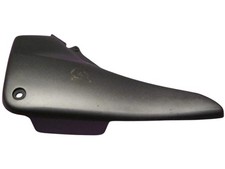 plastica fianco sinistra