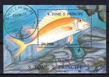 Pesci San Tommaso E Principe