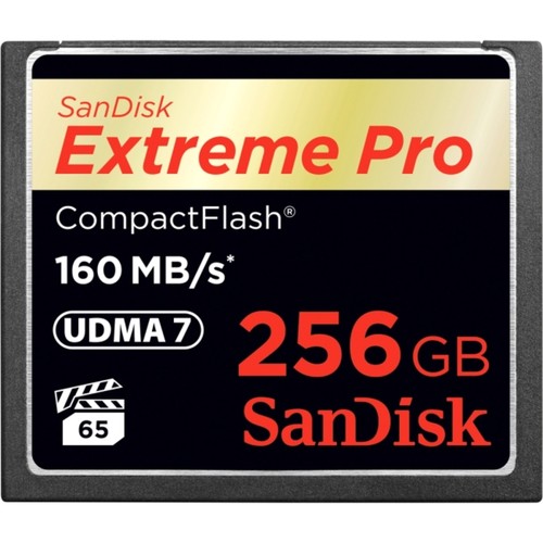 Sandisk sdcfxps 256g - sandisk, sdcfxps-256g-a46