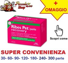 Ribes pet recovery - ribes, gatto