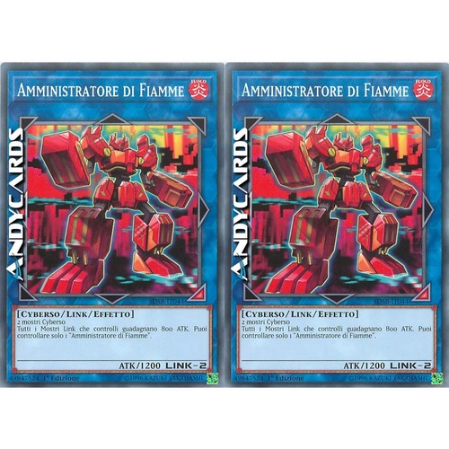 Amministratore fiamme - 2x, di