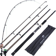 Canna Da Pesca Alla Carpa