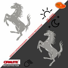 Adesivi rifrangenti  cavallino