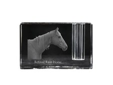 Cavallo da corsa in pensione