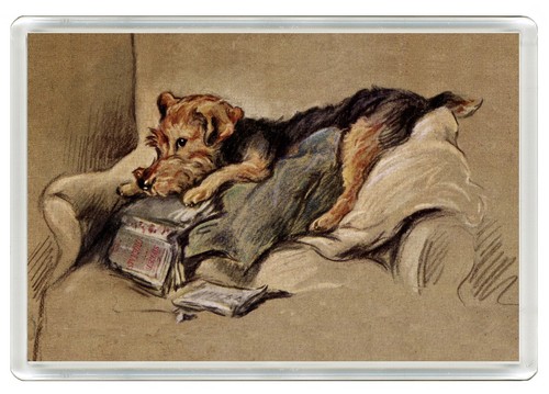 Welsh terrier dog - dog, fridge