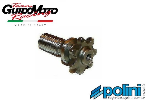 Pignone mini moto polini - mini,