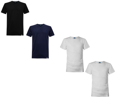Shirt 100 cotone - in,