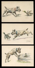 FRENCH BULLDOG Frenchi Dog Art