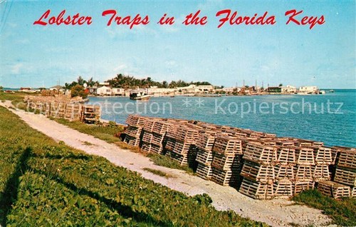 Trappole per aragoste florida - per,