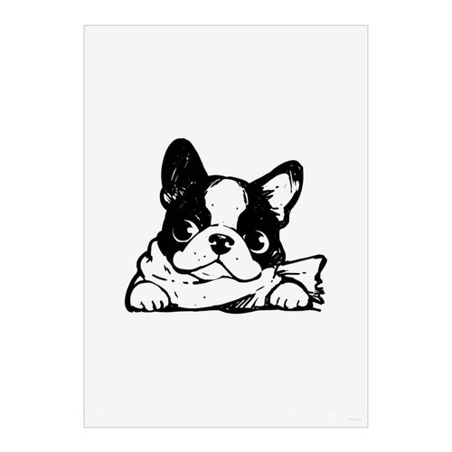 Bulldog francese che - ', indossa