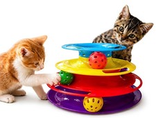 Giochi per Gatti Gioco