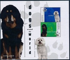 St Vincent 2010 Cani Maltese