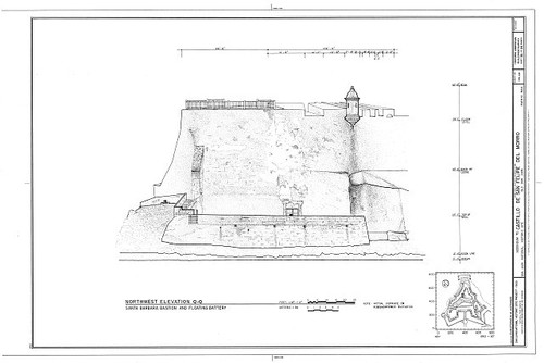 Disegno forte san - disegno,