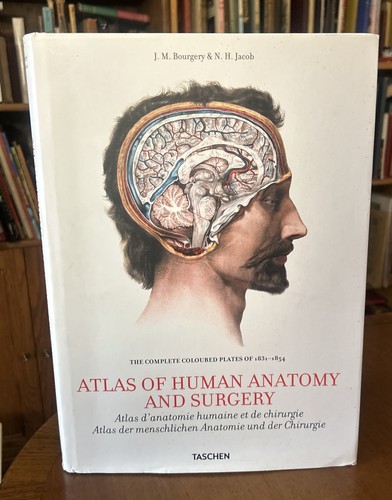 Atlas human anatomy and - of,