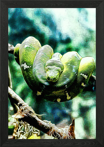 Quadro stampa tela poster - tela,