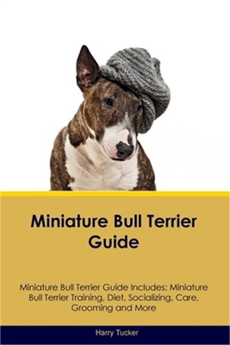 Miniature bull terrier guide - miniature,