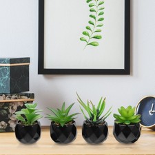  4 Pcs Succulente Artificiali Arredamento Dell'appartamento Falso Succulento